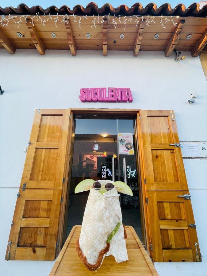 Hotel Suculenta Boutique San Cristóbal de Las Casas Zewnętrze zdjęcie