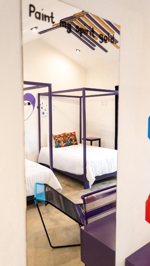 Hotel Suculenta Boutique San Cristóbal de Las Casas Zewnętrze zdjęcie