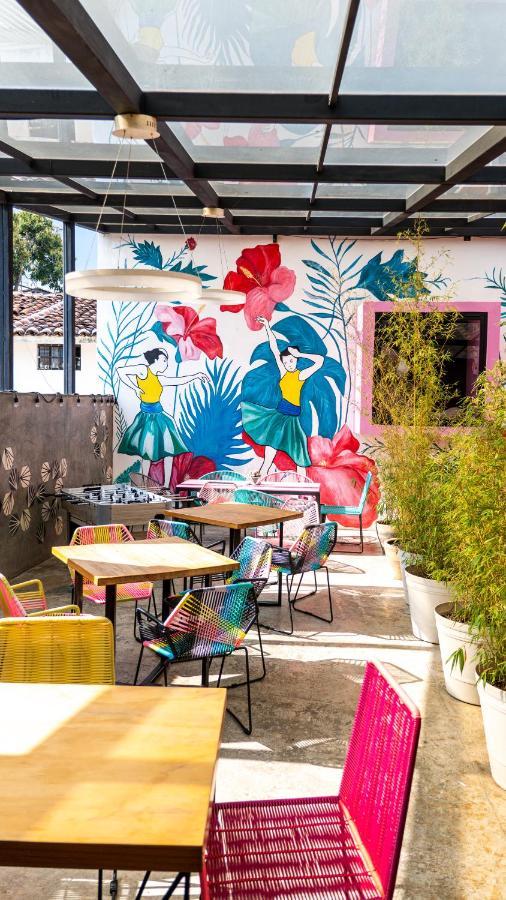 Hotel Suculenta Boutique San Cristóbal de Las Casas Zewnętrze zdjęcie