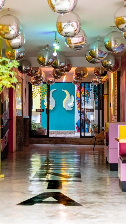 Hotel Suculenta Boutique San Cristóbal de Las Casas Zewnętrze zdjęcie